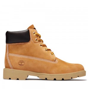 Timberland Classic 6 Inch Maro | SN-TBL46632
