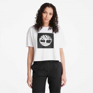 Timberland Cropped Albi | SN-TBL46484