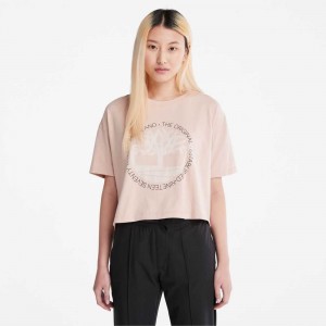 Timberland Cropped Roz | SN-TBL46456