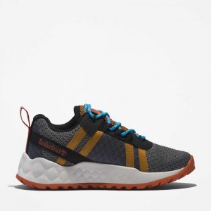 Timberland Greenstride Gri | SN-TBL46640