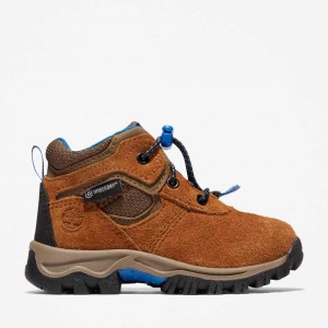 Timberland Mt Maddsen Maro | SN-TBL46646