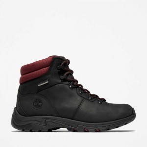 Timberland Mt Maddsen Negrii | SN-TBL46399