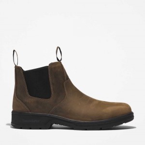 Timberland Nashoba Maro Cafe | SN-TBL45662