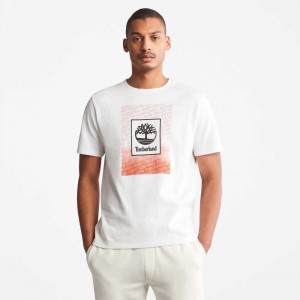 Timberland Organic Cotton Albi | SN-TBL46129