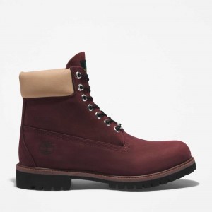 Timberland Premium 6 Inch Visinii | SN-TBL45821
