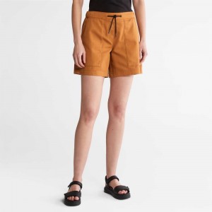 Timberland Progressive Utility Maro | SN-TBL46547