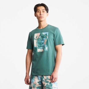 Timberland Summer Verzi Inchis | SN-TBL46147