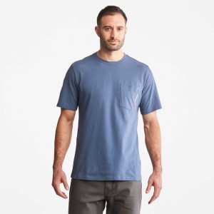 Timberland Timberland Pro® Albastri Deschis | SN-TBL45959