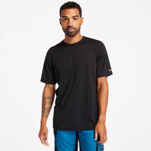 Timberland Timberland Pro® Negrii | SN-TBL45996